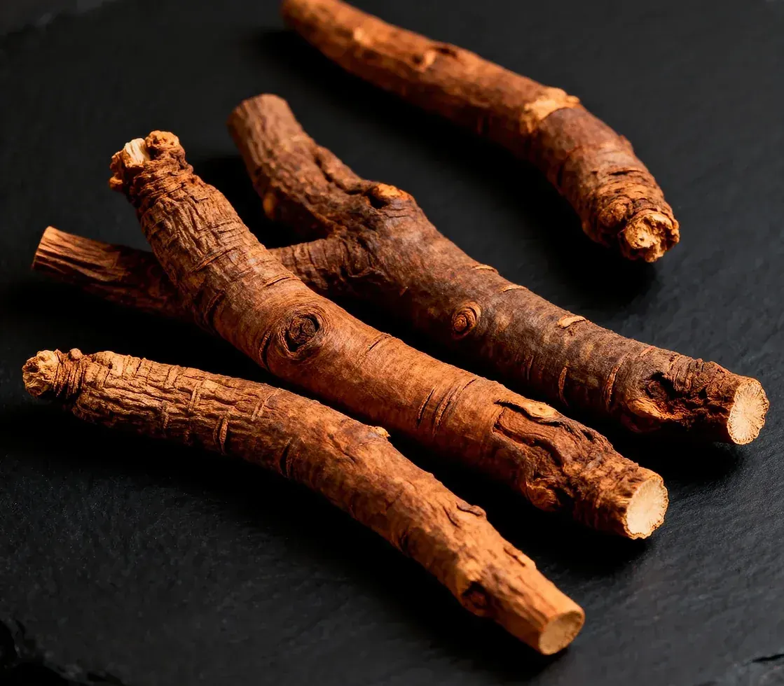 Several dried, brown root sticks lying on dark slate