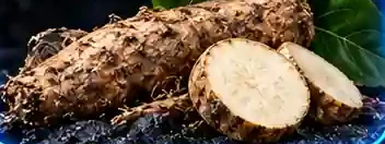 Brown, rough wild yam roots with two pale cut slices, from the brand's ingredient graphic